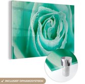 MuchoWow® Peinture sur Verre - Rose Vert Menthe - 30x20 cm - Peintures sur Verre Acrylique - Photo sur Glas