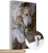 MuchoWow® Glasschilderij 80x120 cm - Schilderij acrylglas - Hond - Papegaai - Dieren - Foto op glas - Schilderijen