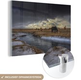 MuchoWow® Glasschilderij 60x40 cm - Schilderij acrylglas - Paarden - IJs - Gras - Foto op glas - Schilderijen