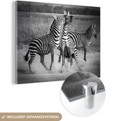 MuchoWow® Glasschilderij 80x60 cm - Schilderij acrylglas - Vechtende zebra's - Foto op glas - Schilderijen