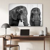 MuchoWow® Glasschilderij 120x80 cm - Schilderij acrylglas - Nieuwsgierige olifanten in zwart-wit - Foto op glas - Schilderijen