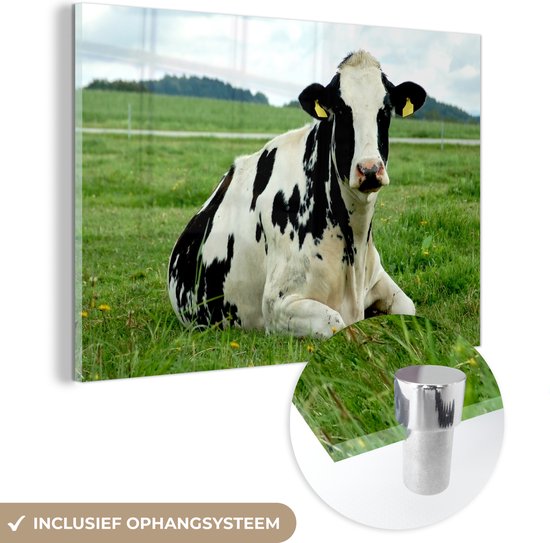 Vache frisonne au repos sur un pâturage vert Plexiglas 180x120 cm - Tirage photo sur verre (décoration murale plexiglas) XXL / Grand format!