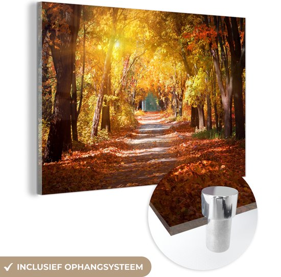 MuchoWow® Glasschilderij 60x40 cm - Schilderij acrylglas - Een bospad in de herfst - Foto op glas - Schilderijen
