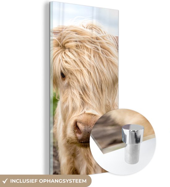 MuchoWow® Peinture sur verre – Highlander écossais – Lumière – Paysage – 60 x 120 cm – Peintures sur verre acrylique – Photo sur Glas