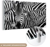 MuchoWow® Glasschilderij 120x60 cm - Schilderij acrylglas - Zebra zwart-wit fotoprint - Foto op glas - Schilderijen