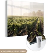 MuchoWow® Glasschilderij 40x30 cm - Schilderij acrylglas - Wijngaarden van Toscane, Italië - Foto op glas - Schilderijen