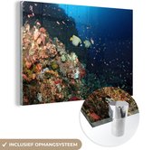 MuchoWow® Glasschilderij 60x40 cm - Schilderij acrylglas - Vis - Oceaan - Koraal - Foto op glas - Schilderijen