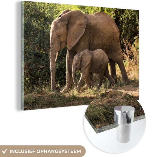 Peinture sur verre - Bébé éléphant marchant avec sa mère - 30x20 cm - Peintures sur Verre Peintures - Photo sur Glas