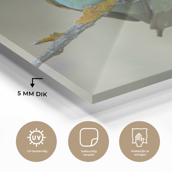 MuchoWow® Tableau sur Verre - Deux Mignons Guêpiers Regarder Ailleurs - 100x150 cm - Peintures sur Verre Acrylique - Photo sur Glas