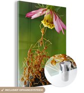 MuchoWow® Peinture sur verre 60x80 cm - Peinture acrylique sur verre - Fourmis - Bloem - Vert - Photo sur verre - Peintures