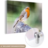 MuchoWow® Peinture sur verre 150x100 cm - Peinture sur verre acrylique - Robin - Branche - Bois - Photo sur verre - Peintures