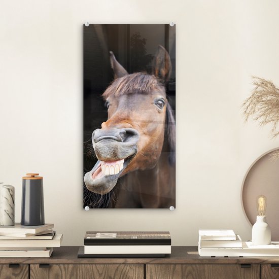 Peinture sur Verre - Cheval - Drôle - Écurie - 20x40 cm - Peintures sur Verre Peintures - Photo sur Glas
