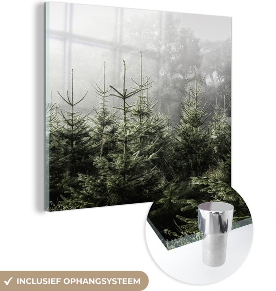 MuchoWow® Glasschilderij 20x20 cm - Schilderij acrylglas - Mist rond een paar dennenbomen - Foto op glas - Schilderijen