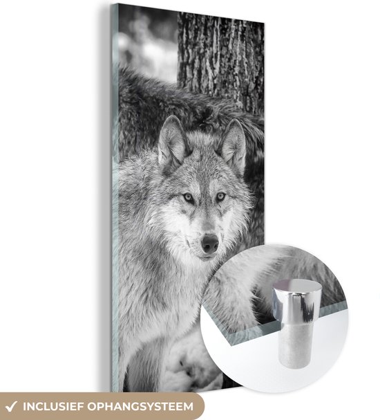 MuchoWow® Glasschilderij 20x40 cm - Schilderij acrylglas - Groep wolven in zwart-wit - Foto op glas - Schilderijen