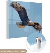MuchoWow® Glasschilderij 90x90 cm - Schilderij acrylglas - Vogel - Zeearend - Vliegen - Foto op glas - Schilderijen