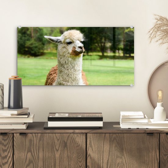 ® Glasschilderij 40x20 cm - Schilderij acrylglas - Alpaca - Wit - Bruin - Boom - Foto op glas - Muurdecoratie woonkamer - Wanddecoratie slaapkamer - Schilderijen