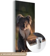 MuchoWow® Glasschilderij 60x120 cm - Schilderij acrylglas - Koala - Zon - Dier - Kinderen - Jongens - Meisjes - Foto op glas - Schilderijen