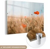 MuchoWow® Glasschilderij 30x20 cm - Schilderij acrylglas - Klaprozen in een graanveld - Foto op glas - Schilderijen