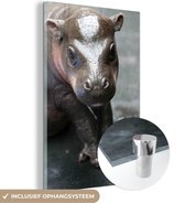 MuchoWow® Glasschilderij 80x120 cm - Schilderij acrylglas - Nijlpaard - Kalf - Water - Foto op glas - Schilderijen