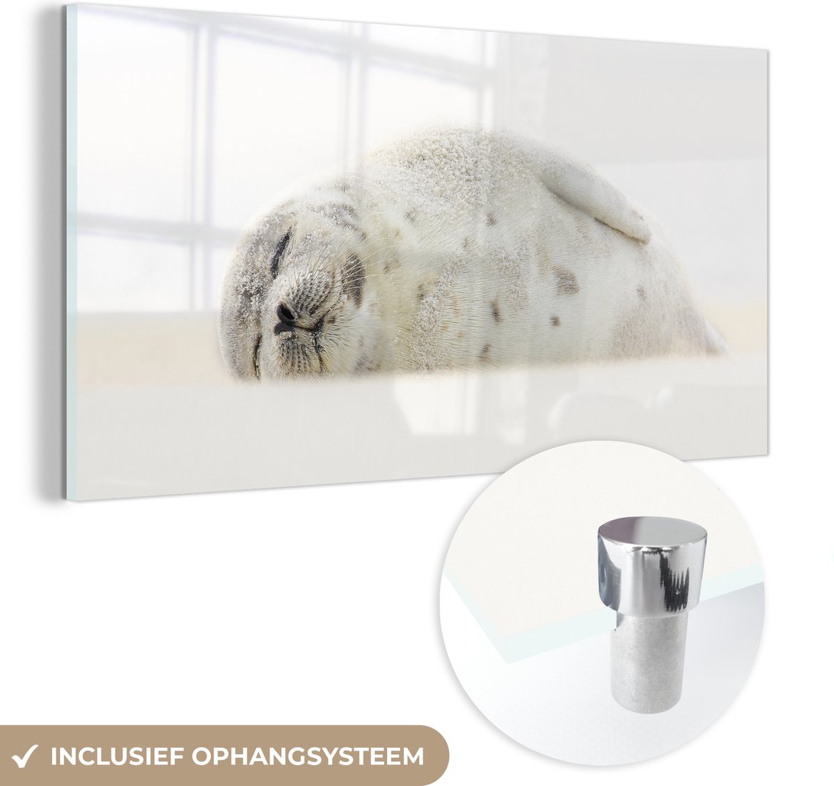 ® Glasschilderij 40x20 cm - Schilderij acrylglas - Baby zeehond slaapt in sneeuw - Foto op glas - Muurdecoratie woonkamer - Wanddecoratie slaapkamer - Schilderijen