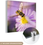 MuchoWow® Glasschilderij 90x90 cm - Schilderij acrylglas - Een bij zit op een aster bloem - Foto op glas - Schilderijen
