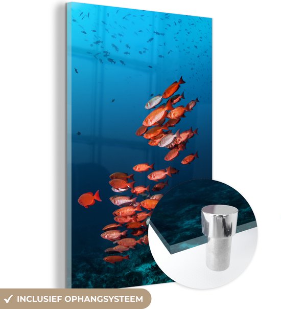 MuchoWow® Glasschilderij 100x150 cm - Schilderij acrylglas - Vissen - Rood - Oceaan - Foto op glas - Schilderijen