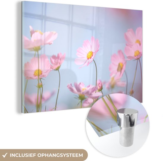 MuchoWow® Glasschilderij 150x100 cm - Schilderij acrylglas - Bloemen - Roze - Buiten - Natuur - Foto op glas - Schilderijen