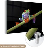 Peinture sur Verre - Grenouille - Plante - Zwart - 180x120 cm - Peintures sur Verre Peintures - Photo sur Glas