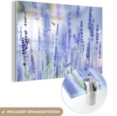 MuchoWow® Glasschilderij 60x40 cm - Schilderij acrylglas - Bijen in een veld met lavendel - Foto op glas - Schilderijen