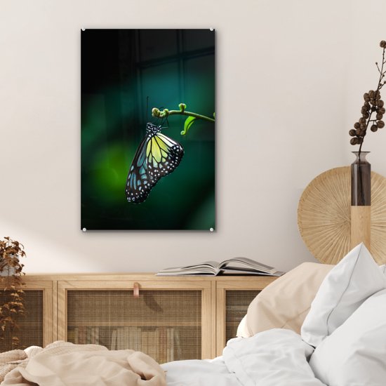 Peinture sur Verre - Papillon sur une Branche Fine - 40x60 cm - Peintures sur Verre Peintures - Photo sur Glas