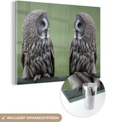 MuchoWow® Glasschilderij 120x90 cm - Schilderij acrylglas - Grote grijze uilen - Foto op glas - Schilderijen
