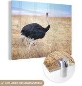 MuchoWow® Glasschilderij 160x120 cm - Schilderij acrylglas - Portret mannelijke struisvogel - Foto op glas - Schilderijen