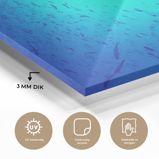 Peinture sur verre MuchoWow® 60x40 cm - Peinture acrylique sur verre - Shark -marteau (Sphyrna mokarran) parmi les poissons - Photo sur verre - Peintures