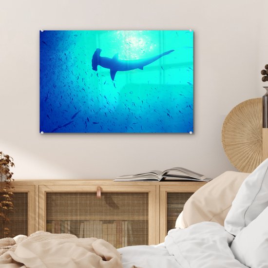 Peinture sur verre MuchoWow® 60x40 cm - Peinture acrylique sur verre - Shark -marteau (Sphyrna mokarran) parmi les poissons - Photo sur verre - Peintures