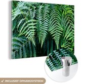 MuchoWow® Peinture sur Verre - Fougères Vertes - 150x100 cm - Peintures sur Verre Acrylique - Photo sur Glas