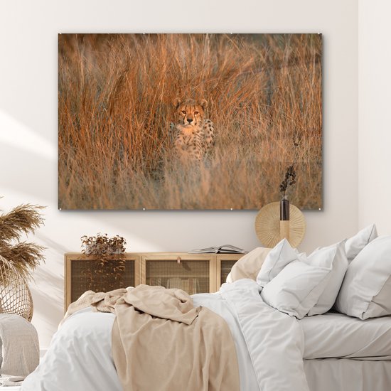 MuchoWow® Peinture sur verre 150x100 cm - Peinture sur verre acrylique - Cheetah - Camouflage - Herbe - Photo sur verre - Peintures