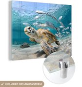 MuchoWow® Glasschilderij 80x60 cm - Schilderij acrylglas - Schildpad - Vis - Zee - Foto op glas - Schilderijen