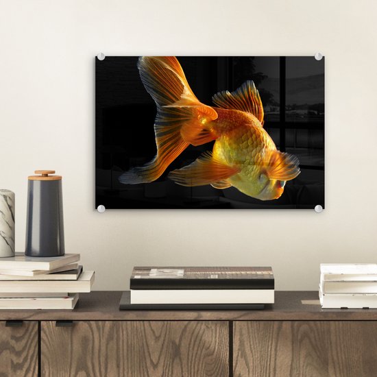 MuchoWow® Peinture sur verre - Poisson rouge - Animaux - Zwart - 30x20 cm - Peintures sur verre acrylique - Photo sur Glas