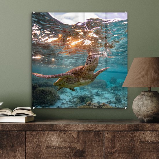 MuchoWow® Peinture sur Verre - Mer - Tortue - Couleurs - 50x50 cm - Peintures Acrylique - Photo sur Glas