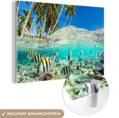 MuchoWow® Glasschilderij 30x20 cm - Schilderij acrylglas - Zee - Vissen - Koraal - Foto op glas - Schilderijen