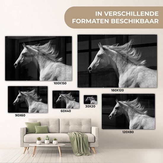 MuchoWow® Peinture sur verre 60x40 cm - Peinture acrylique sur verre - Paarden - Animaux - Portrait - Photo sur verre - Peintures