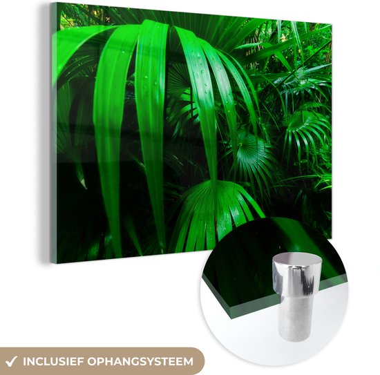 MuchoWow® Glasschilderij 60x40 cm - Schilderij acrylglas - Palmbladen in de jungle - Foto op glas - Schilderijen