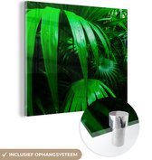 MuchoWow® Glasschilderij 20x20 cm - Schilderij acrylglas - Palmbladen in de jungle - Foto op glas - Schilderijen