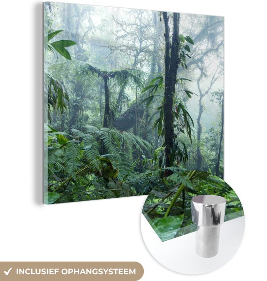 Glasschilderij - Een mistig regenwoud in Costa Rica - Acrylglas Schilderijen - Foto op Glas