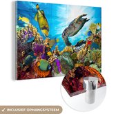 MuchoWow® Glasschilderij 120x80 cm - Schilderij acrylglas - Schildpad - Zee - Koraal - Foto op glas - Schilderijen