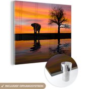 MuchoWow® Glasschilderij 50x50 cm - Schilderij acrylglas - Olifant en zonsondergang - Foto op glas - Schilderijen