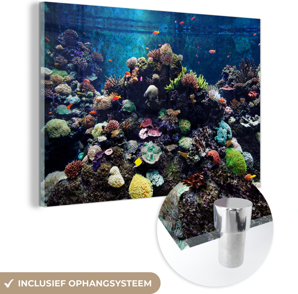 ® Glasschilderij 30x20 cm - Schilderij acrylglas - Aquarium met tropische vissen en koralen - Foto op glas - Muurdecoratie woonkamer - Wanddecoratie slaapkamer - Schilderijen