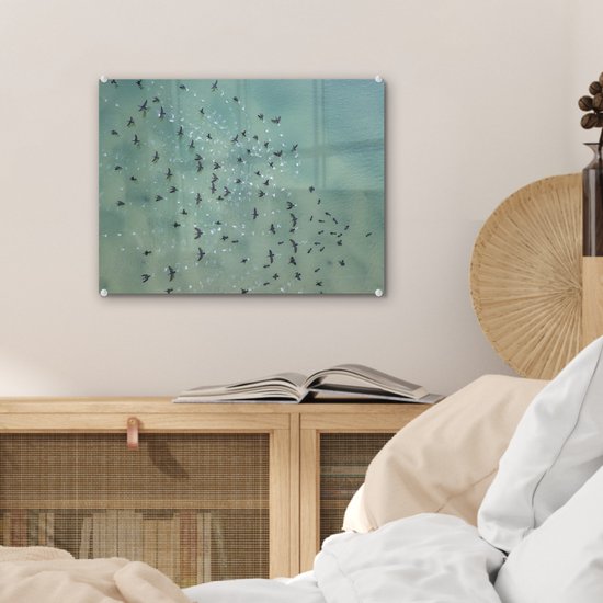 MuchoWow® Peinture sur verre 40x30 cm - Peinture sur verre acrylique - Vue de dessus des oiseaux au-dessus de la mer - Photo sur verre - Peintures