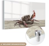 MuchoWow® Peinture sur verre 120x60 cm - Peinture sur verre - Enfants - Crabe - Animaux aquatiques - Garçons - Filles - Kids - Photo sur verre acrylique - Peintures