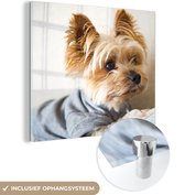 MuchoWow® Glasschilderij 90x90 cm - Schilderij acrylglas - Yorkshire Terrier met een truitje aan - Foto op glas - Schilderijen